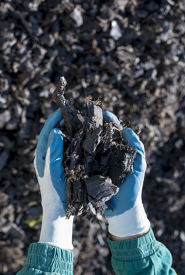 coal